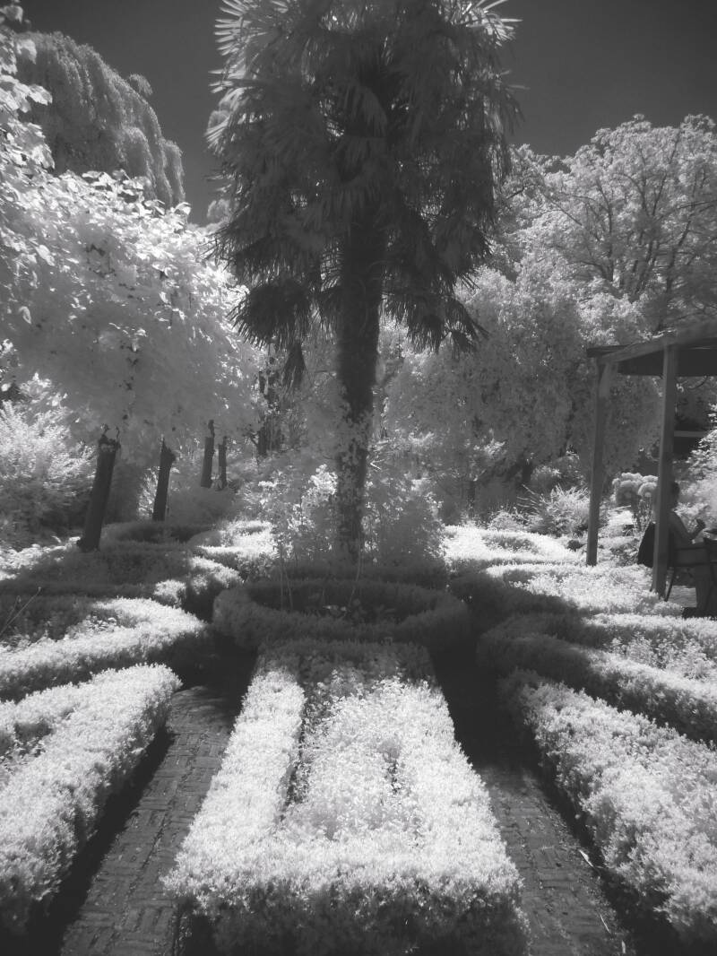botanische tuin amsterdam zuidas.