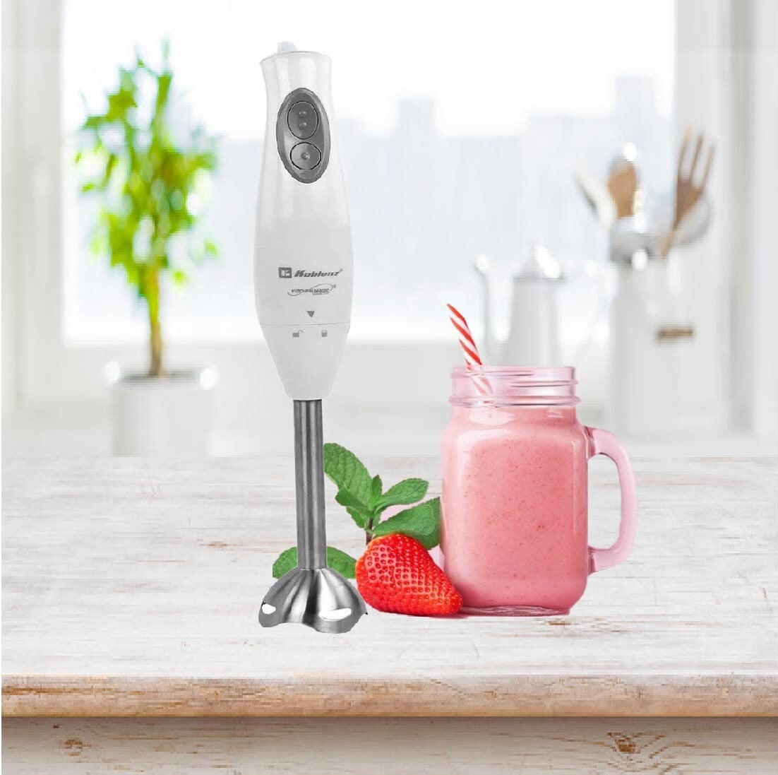 BATIDORA INMERSION 2 VELOCIDADES INOXIDABLE KOBLENZ