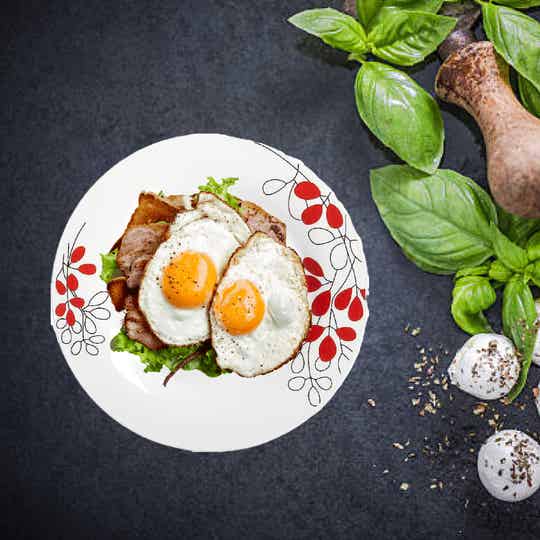 SET VAJILLA PORCELANA 12 PZAS MODELO SCARLET