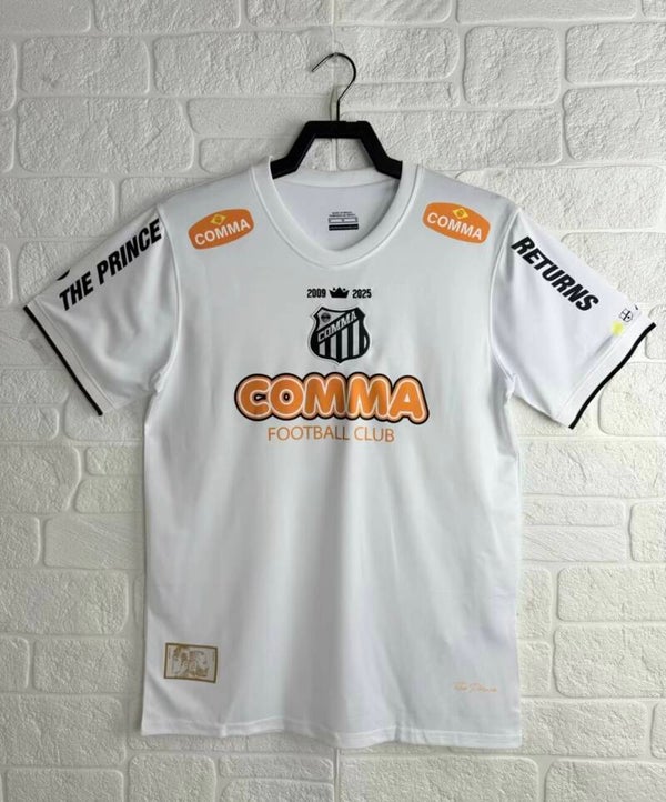 Santos FC 2008/2009