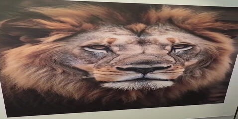 Detail van het geprinte leeuwenportret