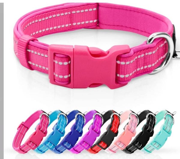 Dog collars
