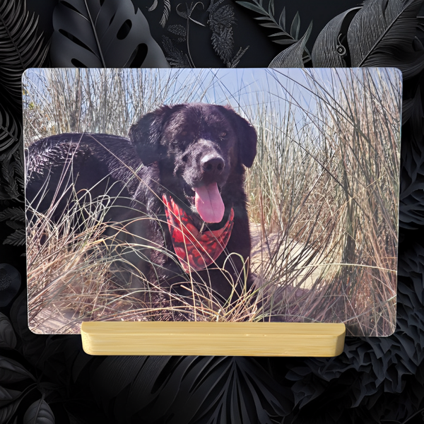 Photo sur plaque métallique