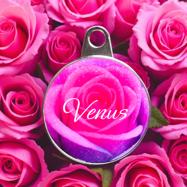 Médaille pour chien en métal