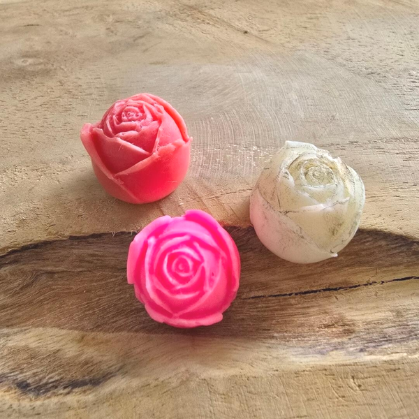 Boutons de roses