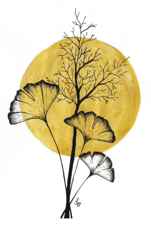 Ginkgo lingo