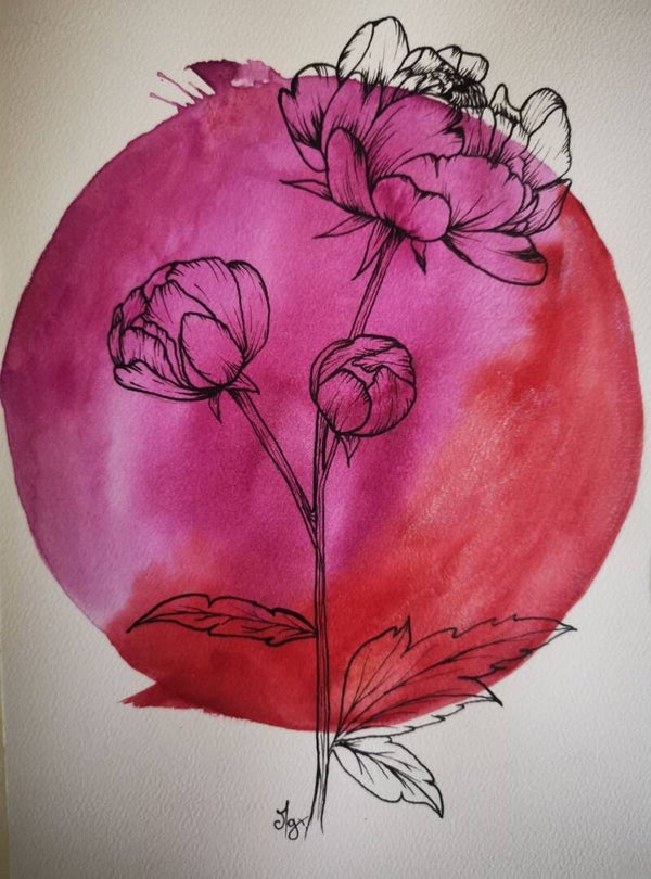 Pivoine