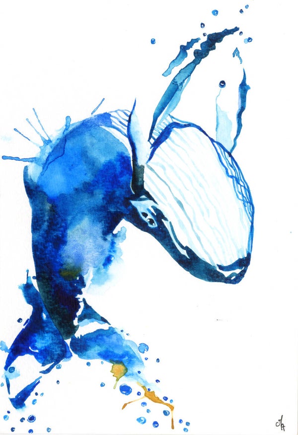 La Baleine