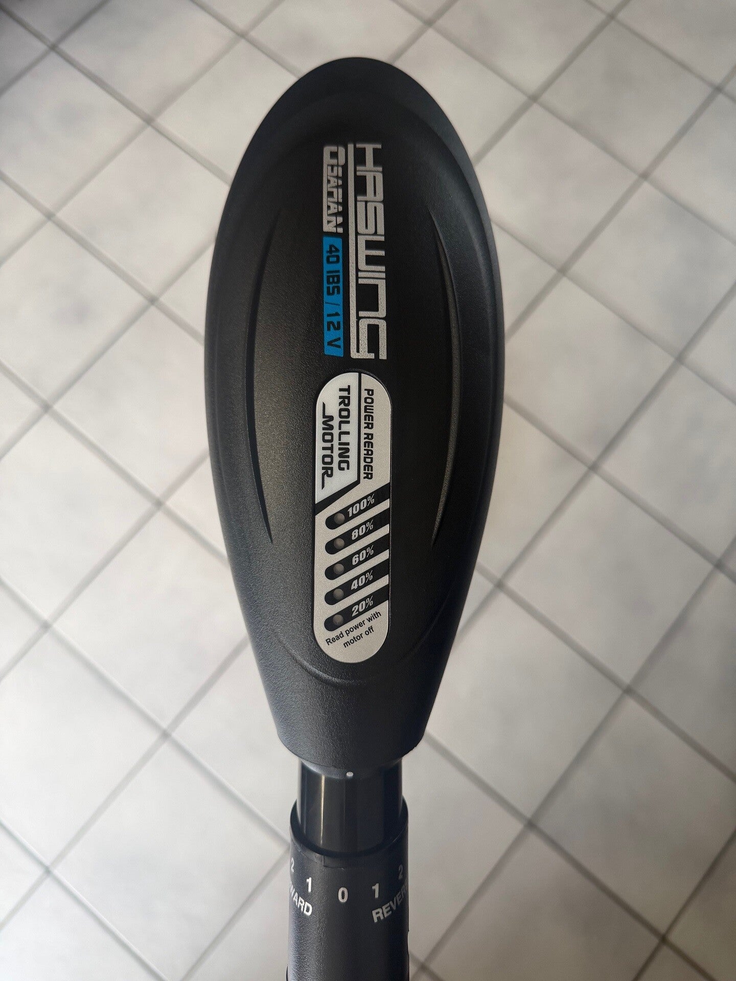 Haswing Osapian 40 LBS Demo ! 12 Volt