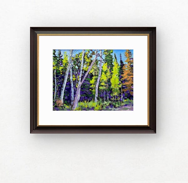 Aspen Pine Morning