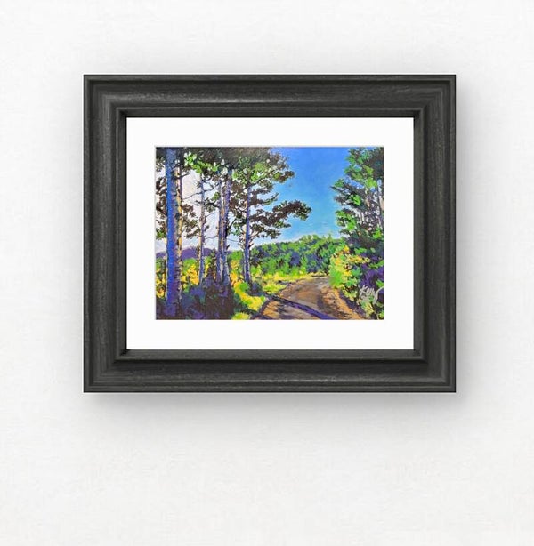 Sun Through the Aspens