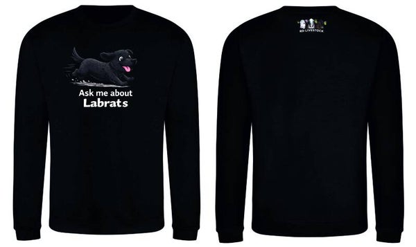 Cartoon Labrat Kids Sweatshirt