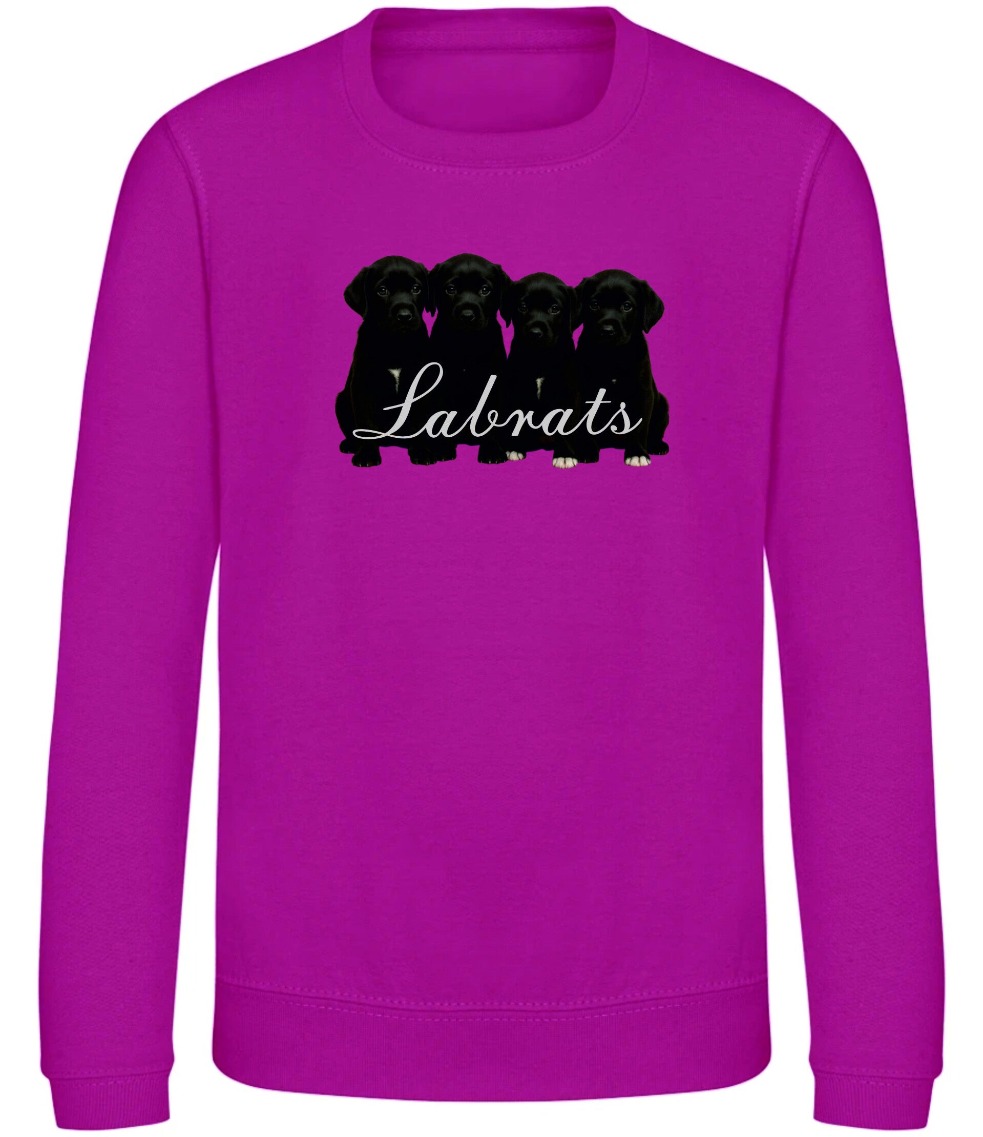 Labrat Kids Sweatshirt