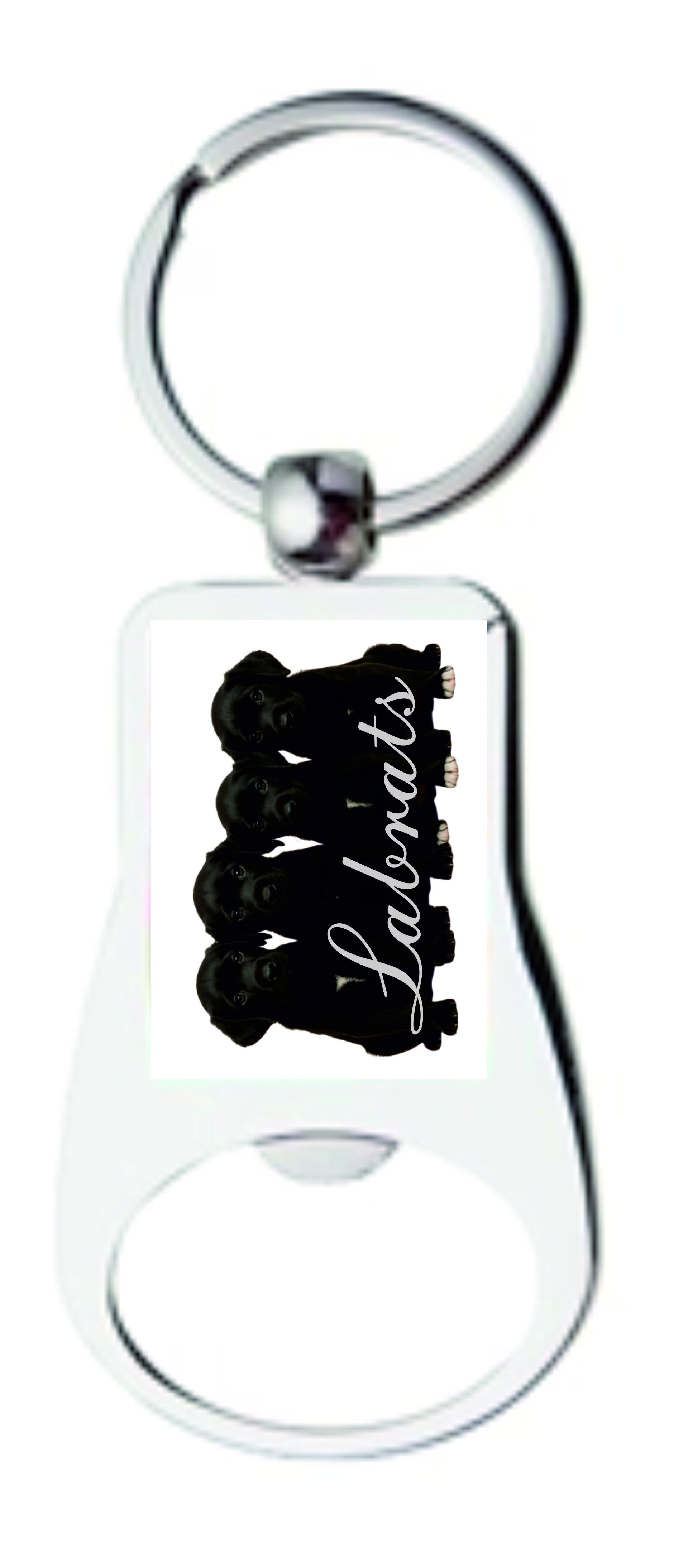 Labrat bottle opener keyring