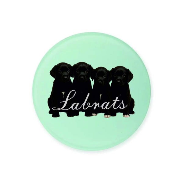 Labrat Glass Coasters Set