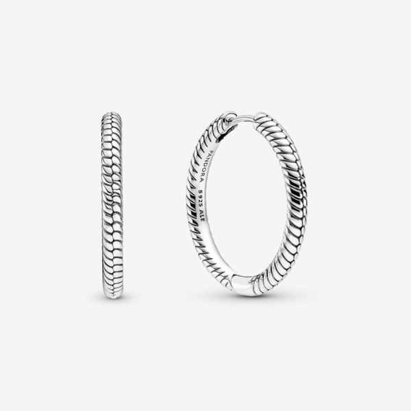 Pandora Moments Charm Hoop Earrings