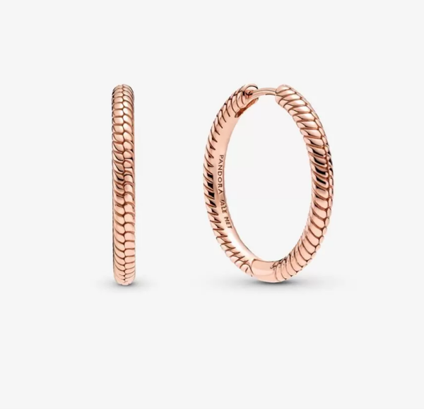 Pandora Moments Charm Hoop Earrings