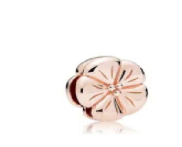 Pandora Reflexions charm