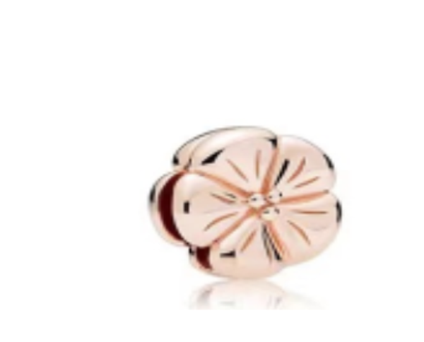 Pandora Reflexions charm