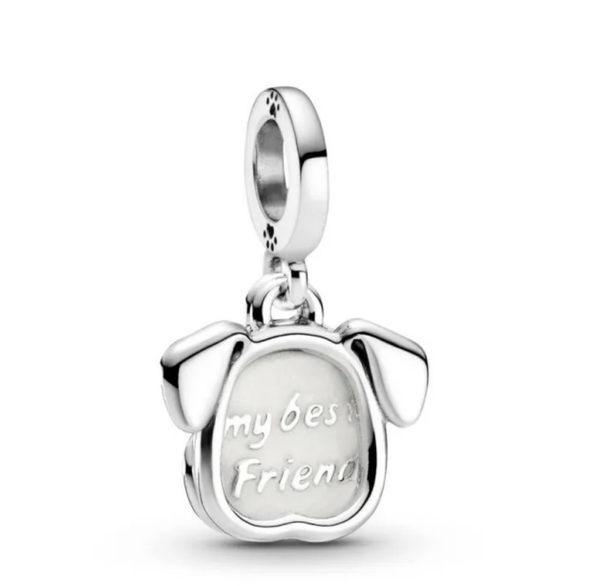 Charm Pandora