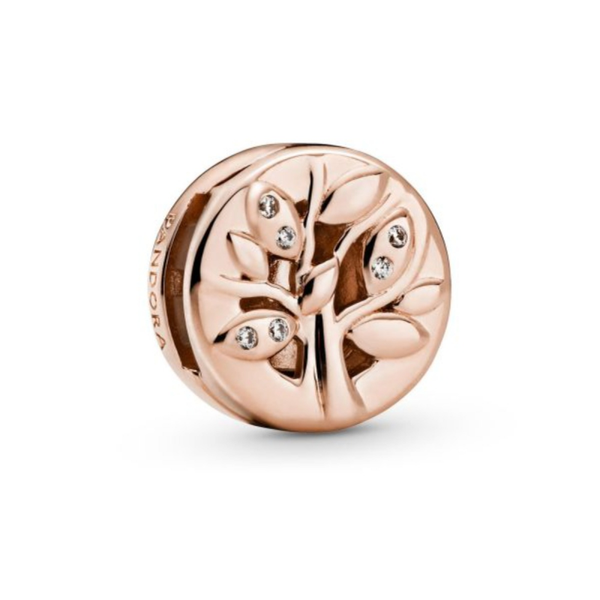 Charm Pandora reflexions