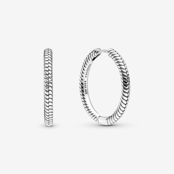 Pandora Moments Charm Hoop Earrings -299532C00