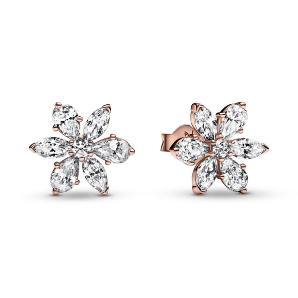 Pendientes de Botón Herbario Brillante