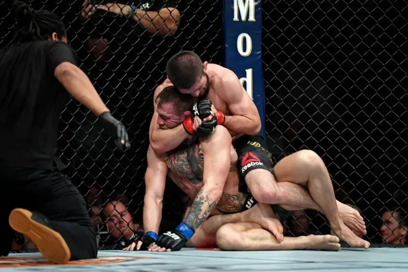 Deux combattants (Khabib Nurmagomedov et Conor McGregor) en plein combat de mma