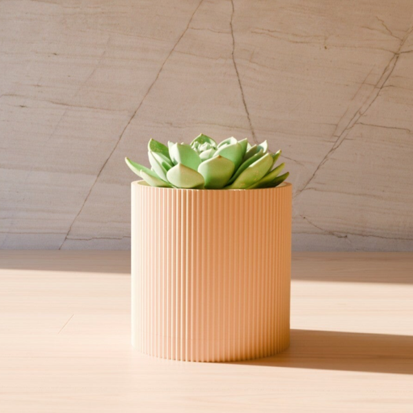 Macetas de interior