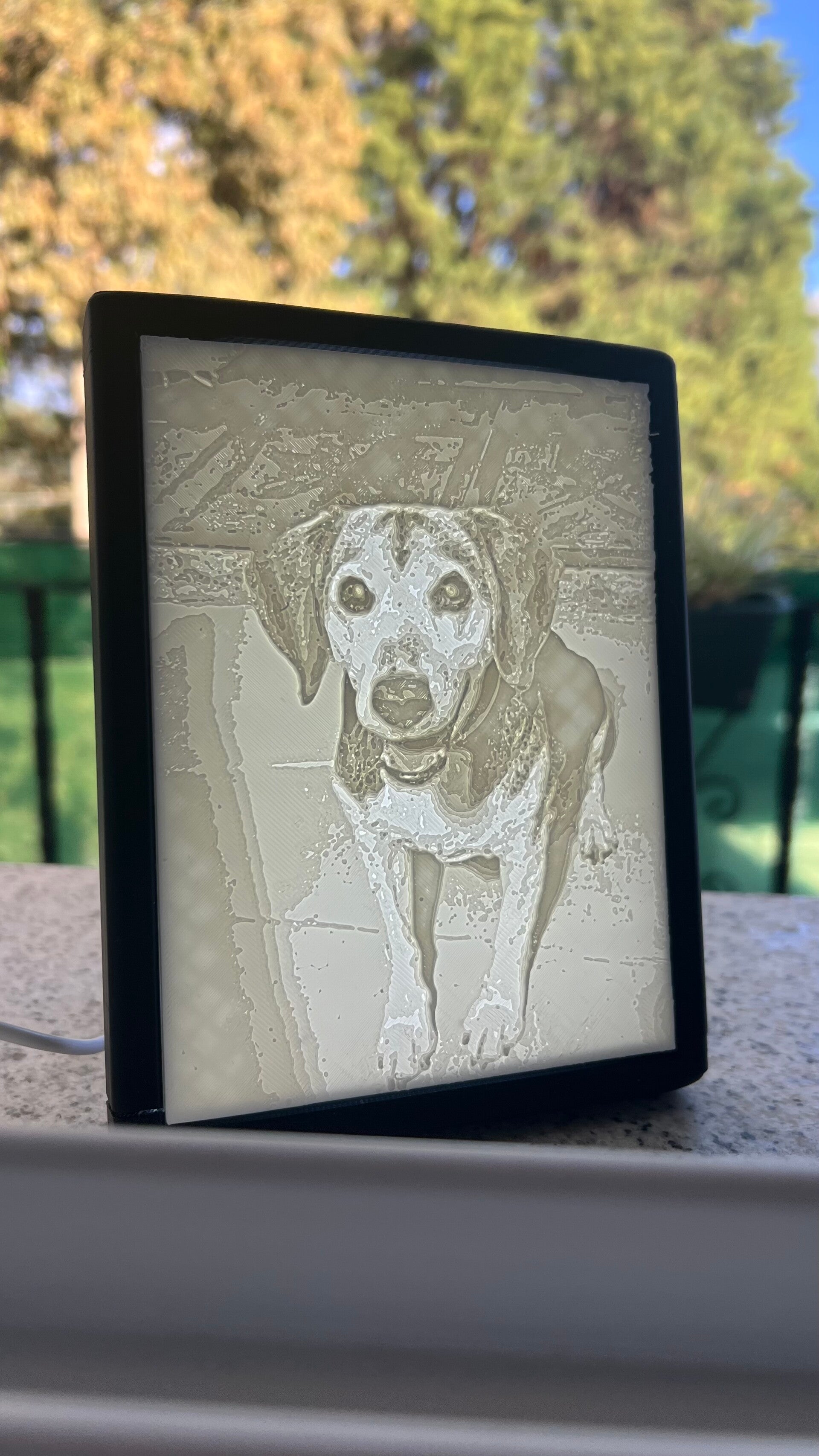 Marco Litofania Mascotas