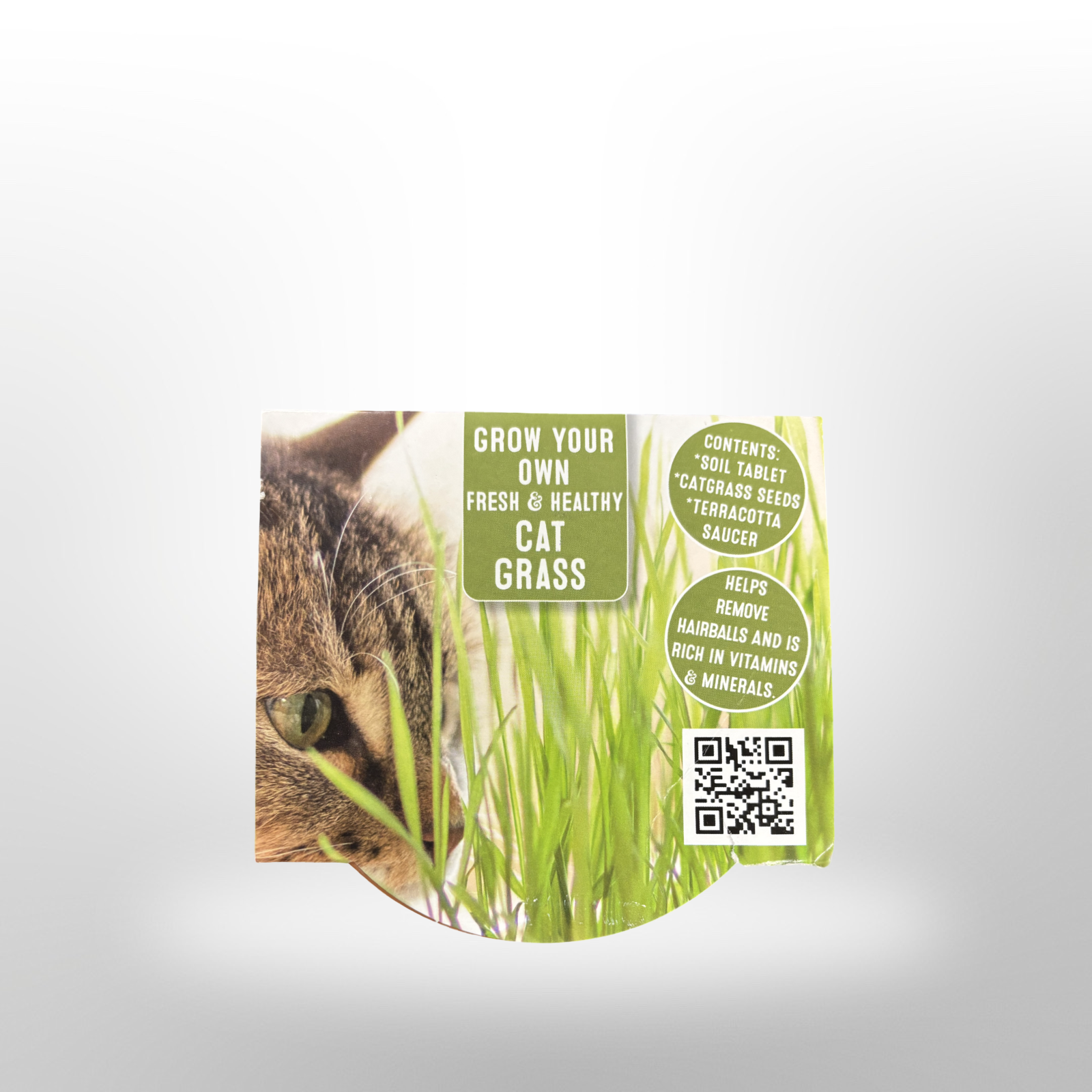 laat je eigen katten gras groeien