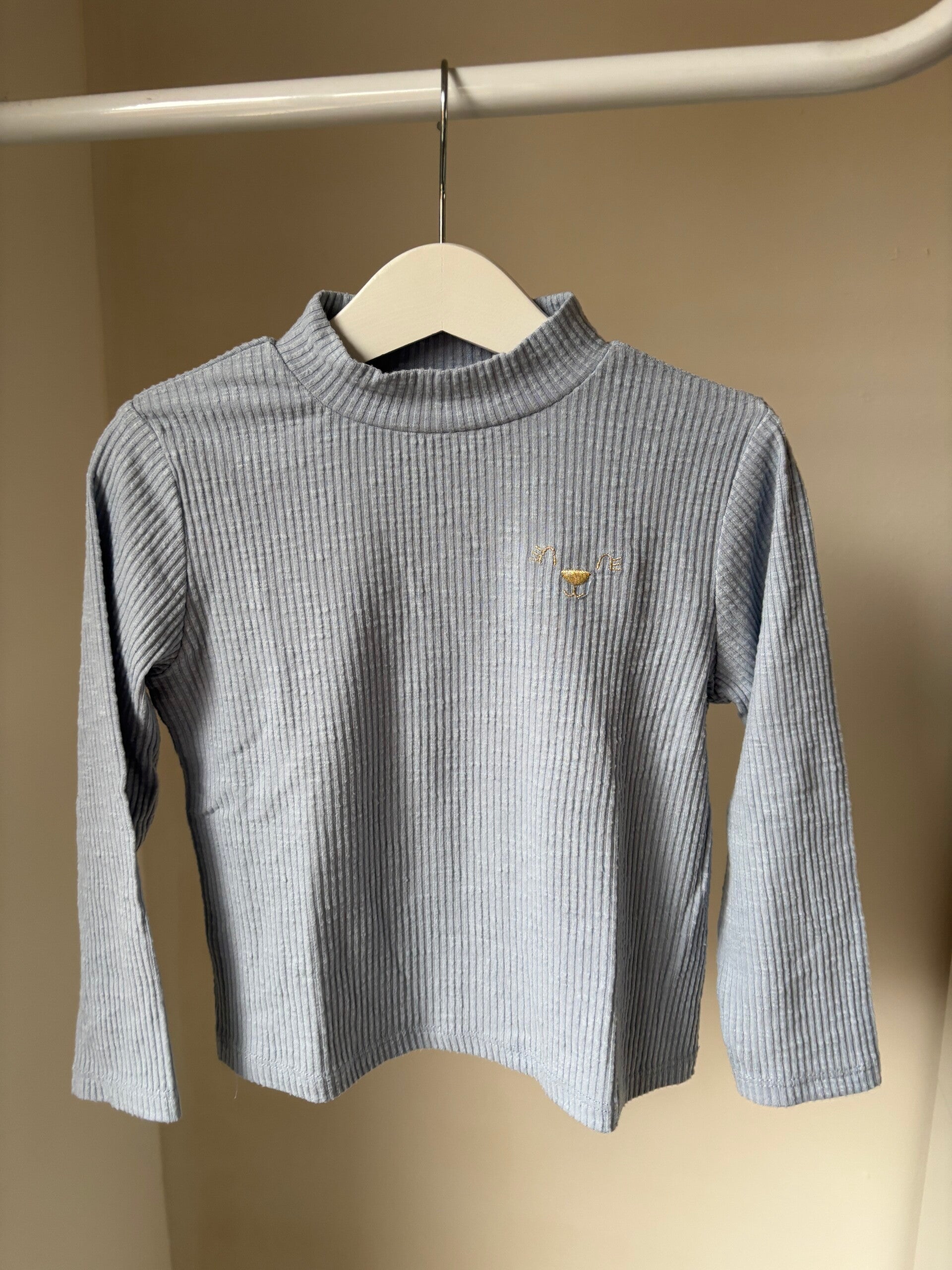 Lichtblauwe longsleeve met rolkraag