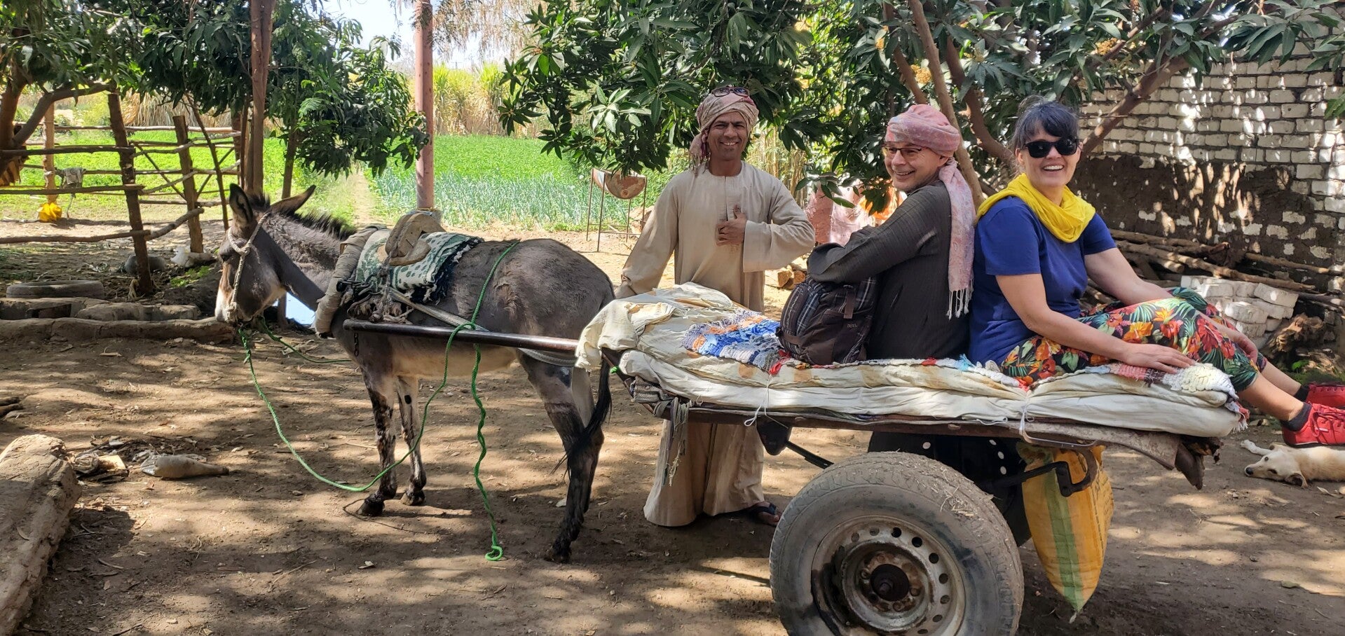 donkey trip luxor secret places village