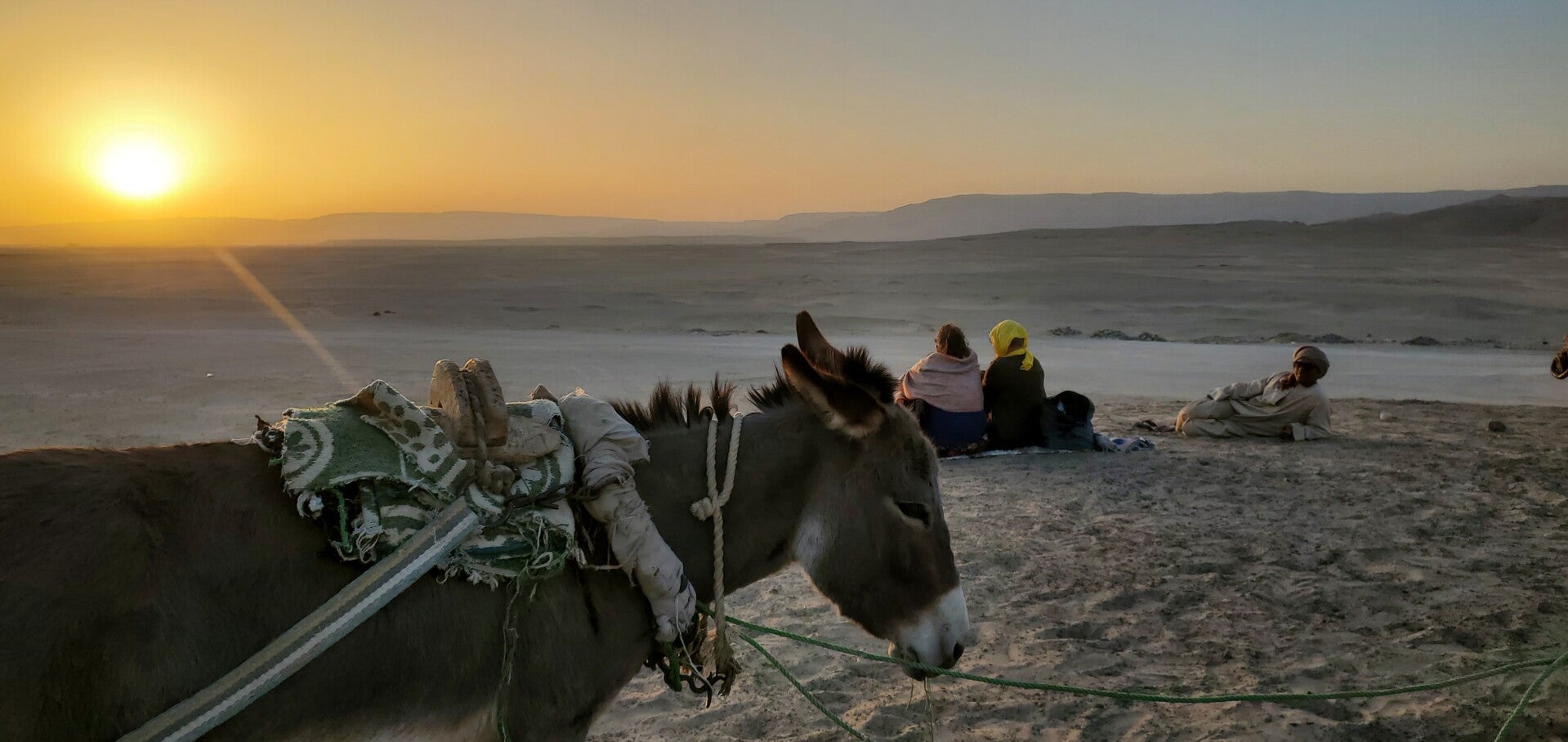 Donkey Trip Desert Sunset