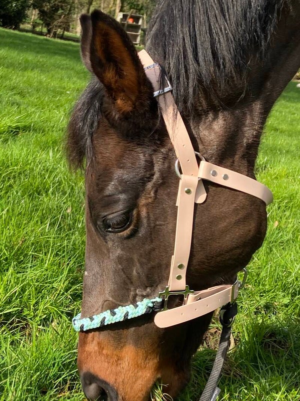 licol biothane et muserole paracorde PONEY