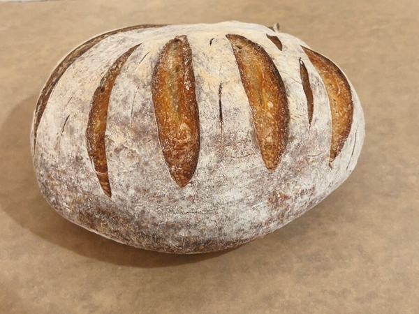 Sourdough Boule