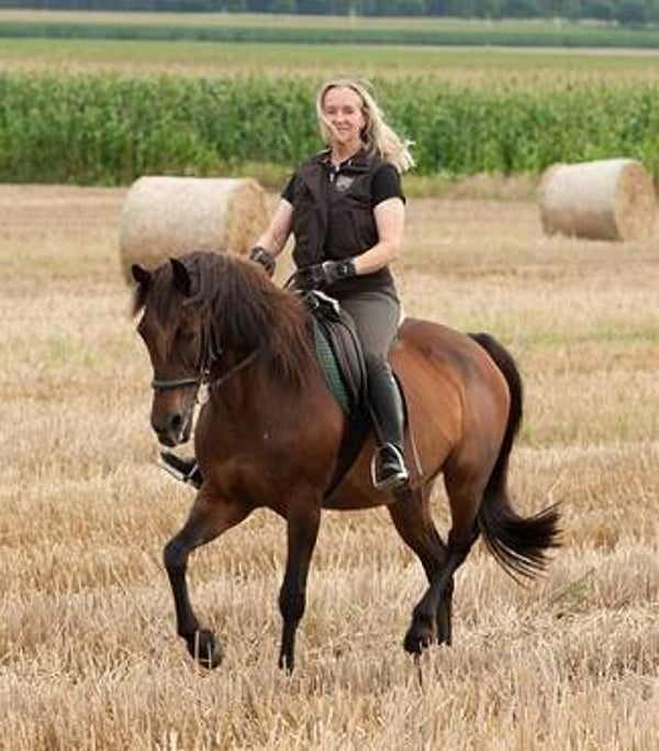 Reitunterricht für Jungpferde Besitzer (ROW / VER / OHZ / HB)