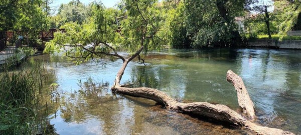 NATURE ET GASTRONOMIE