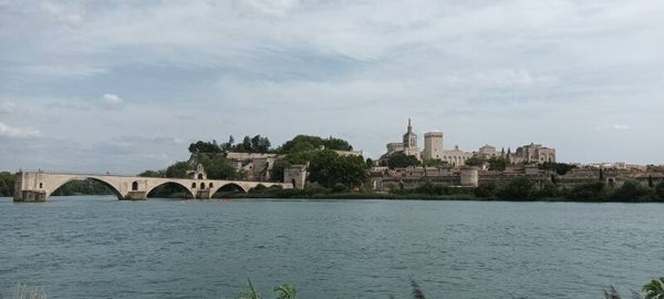 LA CITE DES PAPES MEDIANE 1