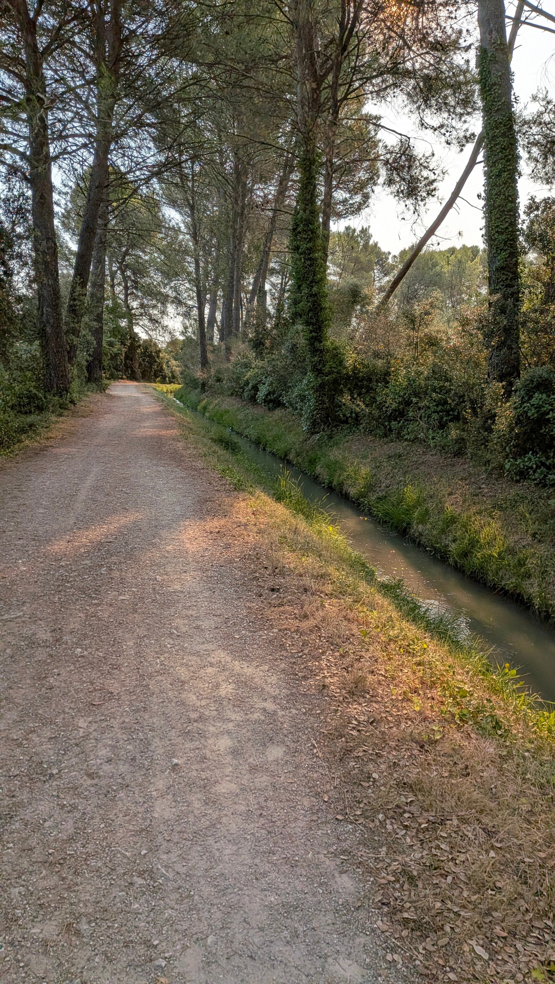 LE JOYAU DES ALPILLES