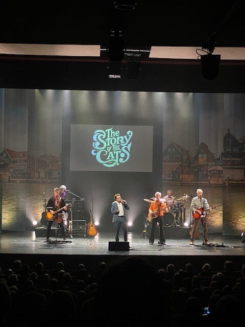 Story of the cats Emmeloord