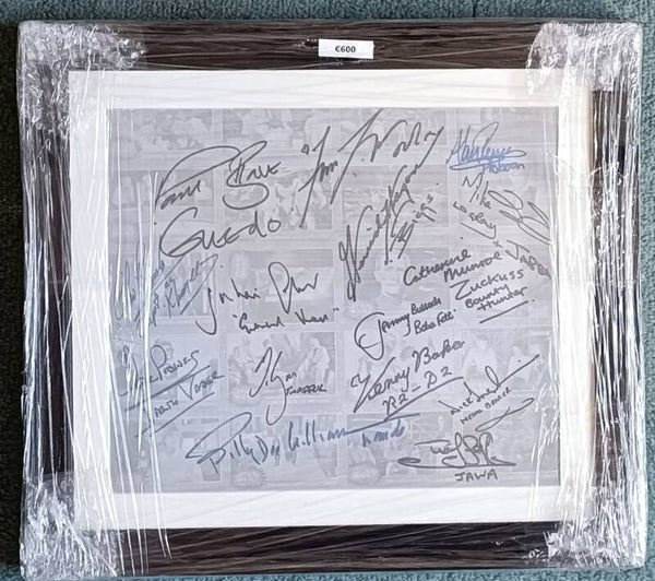 Grey framed multi signed by 14