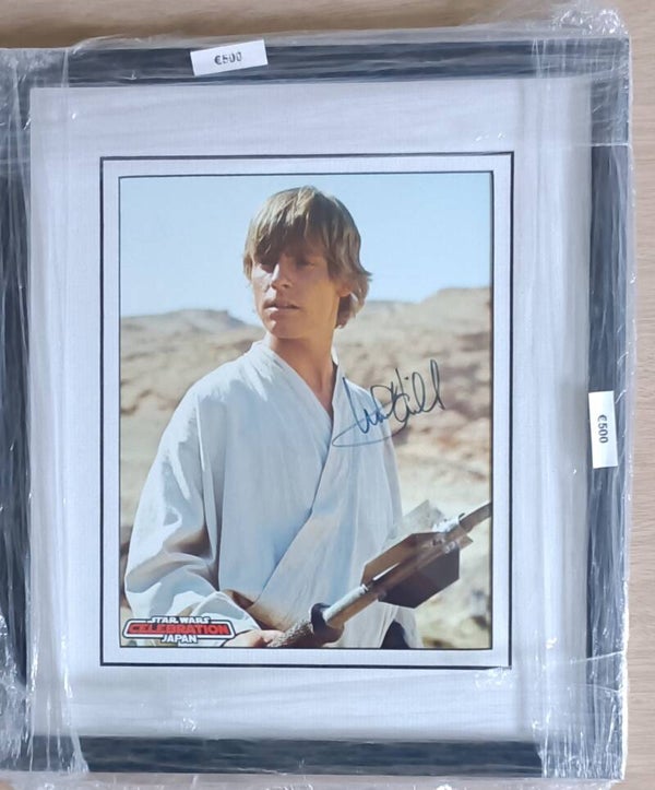 Mark Hamil FRAMED