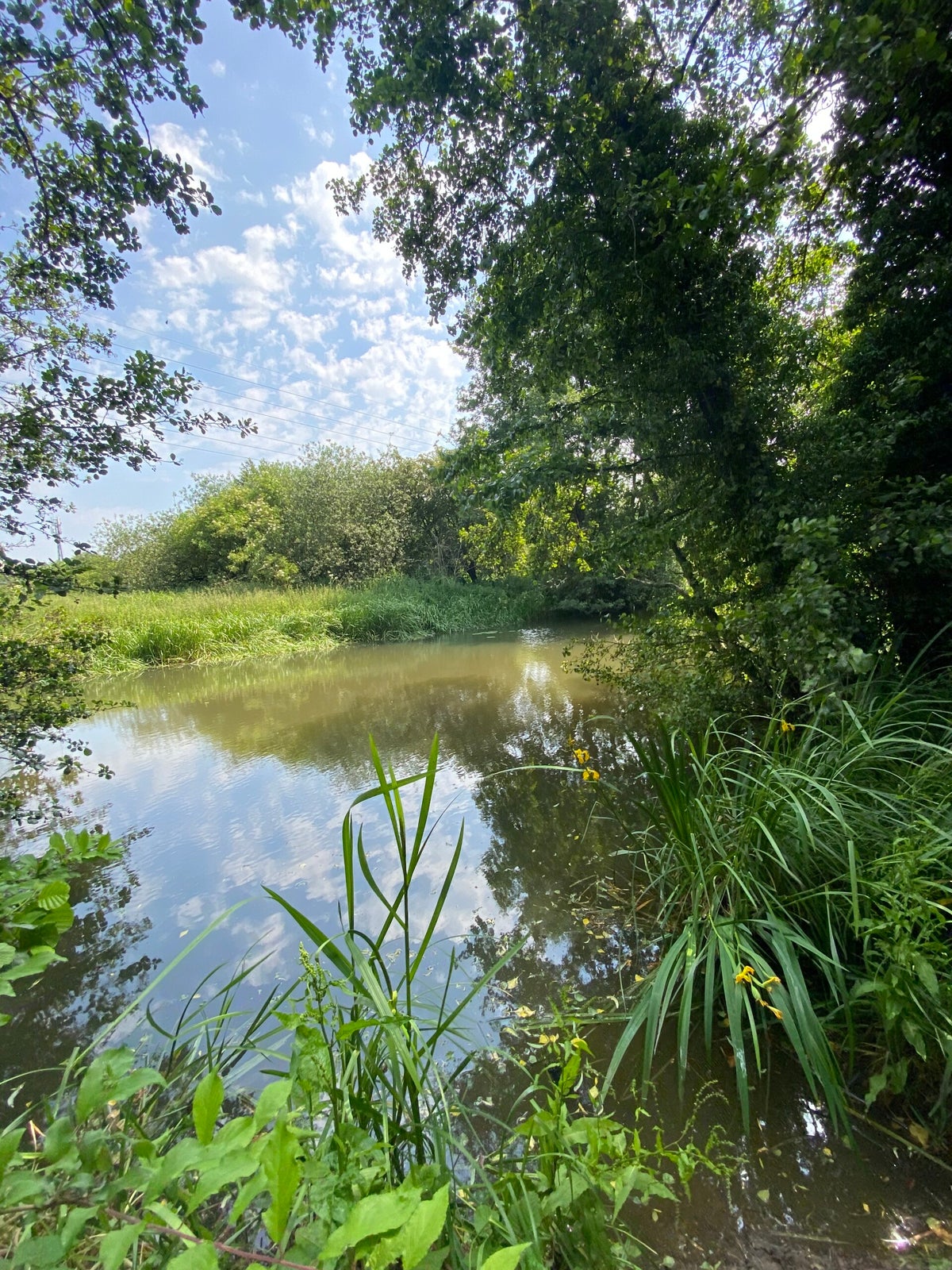 Banbury / Rivers / Fisheries | Banbury and District Angling Association