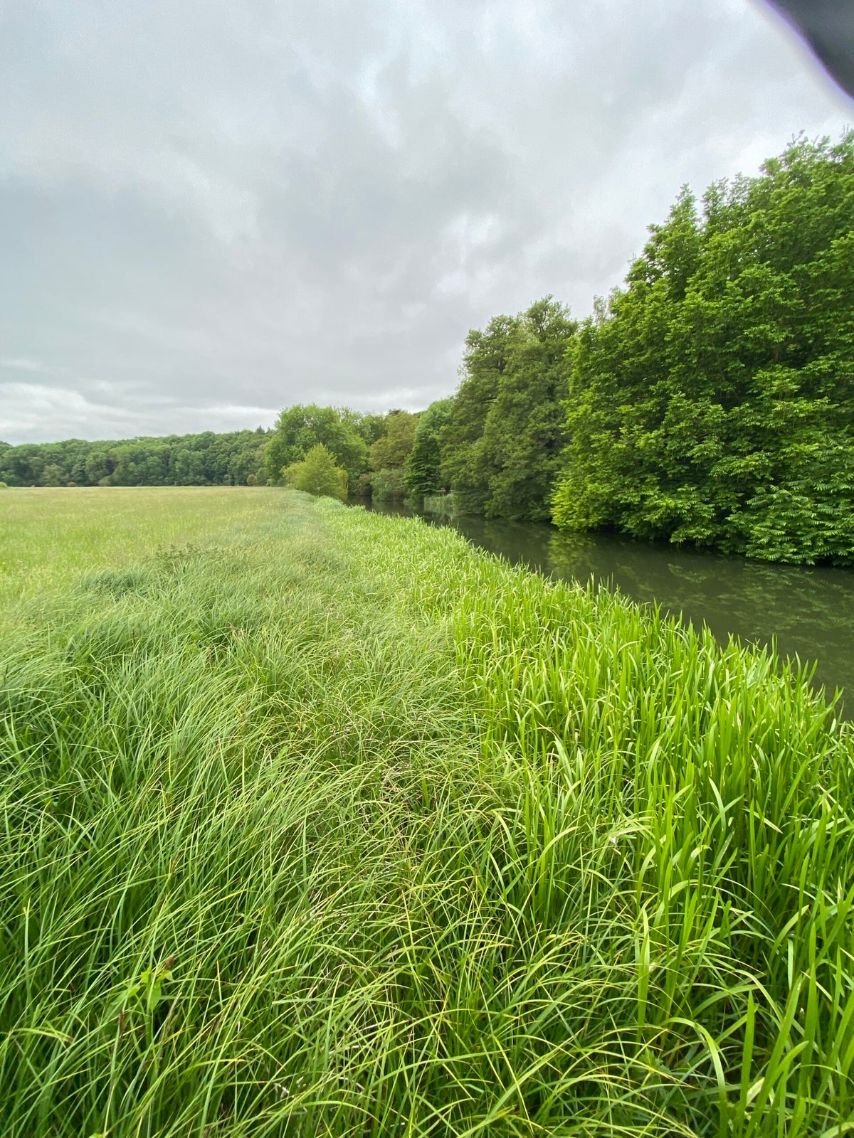 Bletchingdon / Rivers / Fisheries | Banbury and District Angling ...
