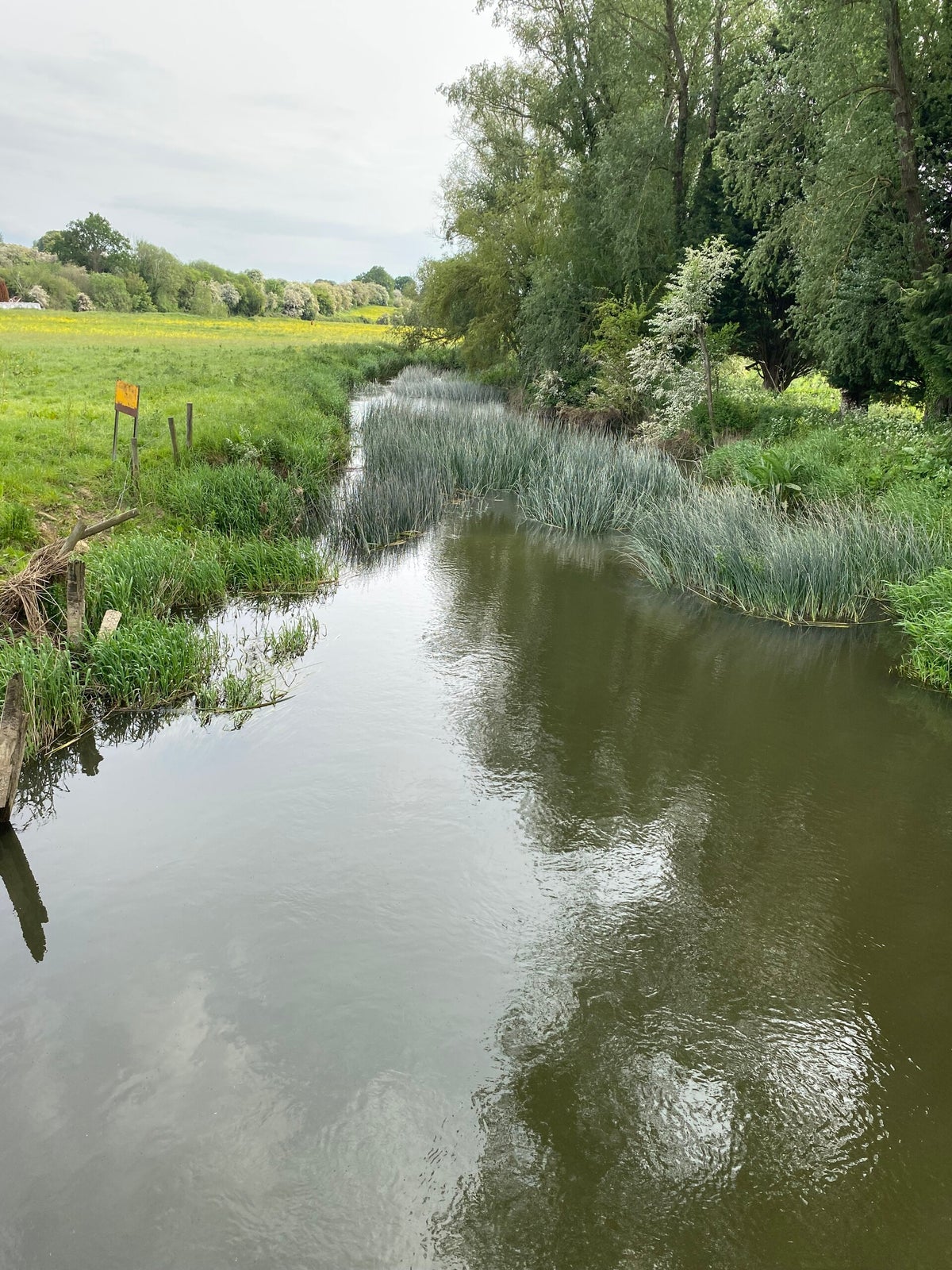 Somerton / Rivers / Fisheries | Banbury and District Angling Association