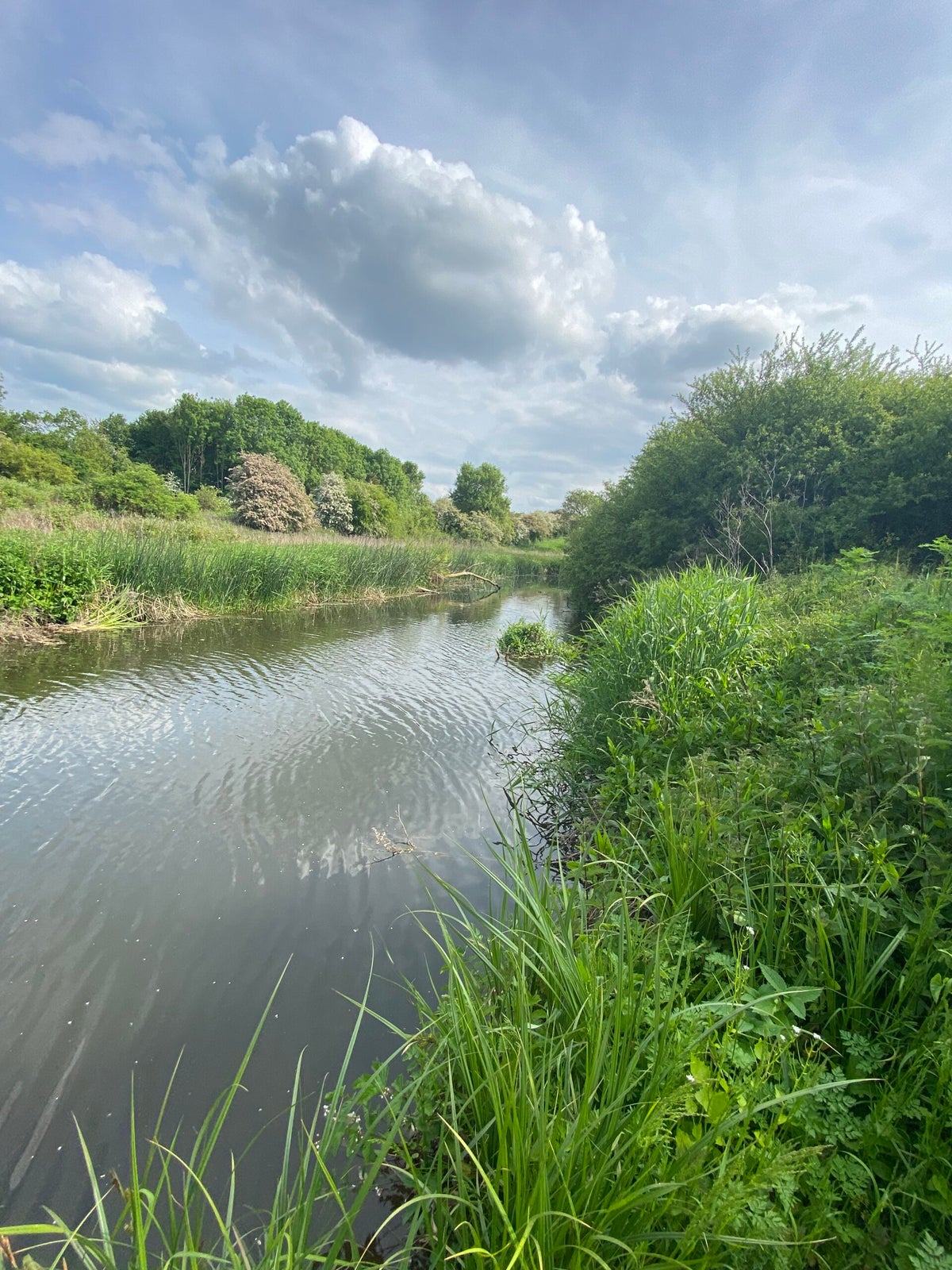 Aynho / Rivers / Fisheries | Banbury and District Angling Association