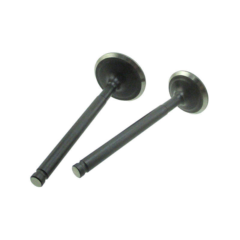 KIT VALVOLE PER MOTORE YX 150/160