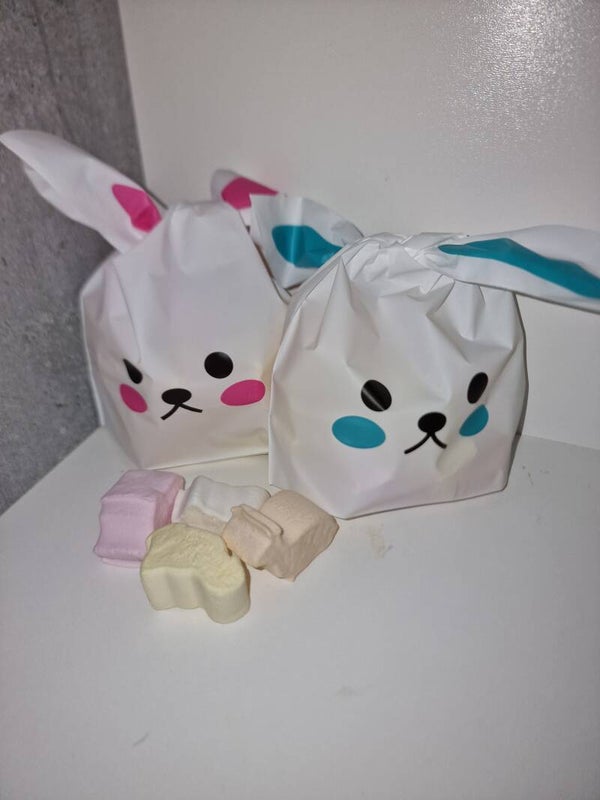 Happy easter bunny bag