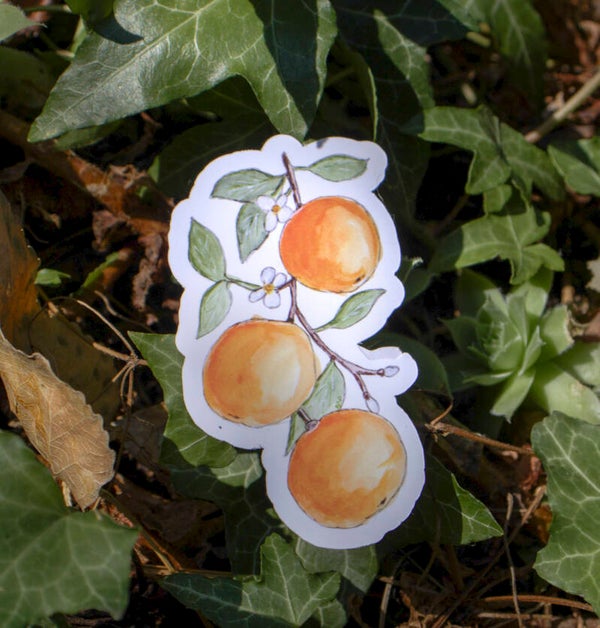 ORANGES - sticker géant